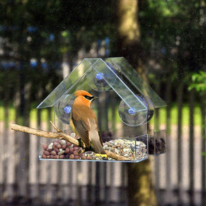 Transparent glass for windows viewing bird feeder hotel Desktop peanut seeds Hanging suction adsorption Up to