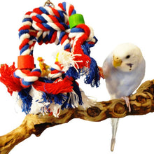 Load image into Gallery viewer, Parrot Bird Toys Rope Braided Pet Parrot Chew Rope Budgie Perch Coil Cage Cockatiel Toy Pet Birds Training Accessories