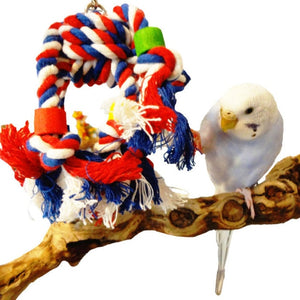 Parrot Bird Toys Rope Braided Pet Parrot Chew Rope Budgie Perch Coil Cage Cockatiel Toy Pet Birds Training Accessories