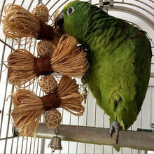 Load image into Gallery viewer, Parrot Bird Toys Rope Braided Pet Parrot Chew Rope Budgie Perch Coil Cage Cockatiel Toy Pet Birds Training Accessories