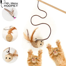 Load image into Gallery viewer, Hoopet Pet Cat Toy Teaser Multi Color Bird Feather Goods for Cats Cat Catcher Teaser Stick Toys Cat Supplies