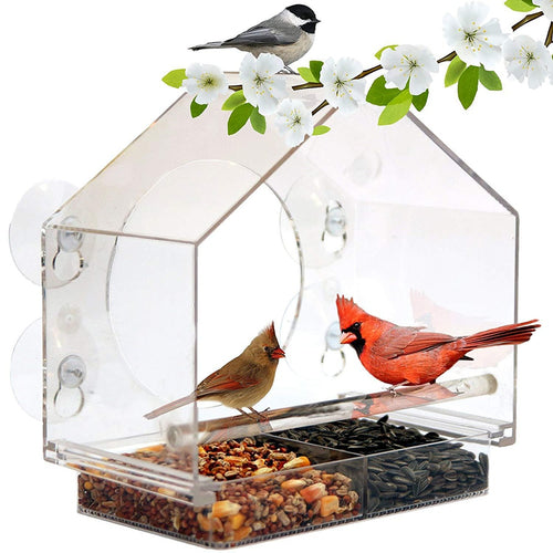 Bird Feeder Transparent Acrylic Adsorption Type House Shape Innovative Suction Cup Feeder